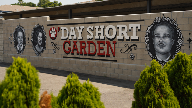 O'Day Short Garden mural